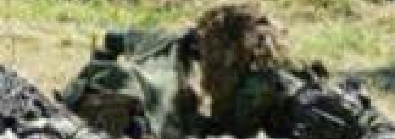 foto_01.jpg
