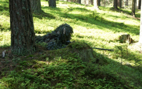 foto_17.jpg